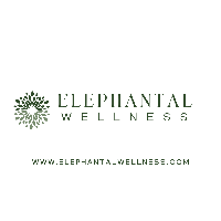 Elephantal Wellness