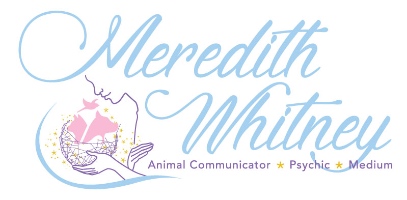 Meredith Whitney-Animal Communicator/Psychic/Medum Company Logo by Meredith Whitney in Lomita CA