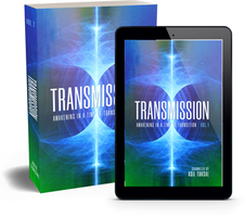Transmission: Awakening in a Time of Transition: Vol. 1