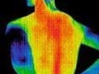 Spiritual & Energetic Healers & Guides Infrared Thermal Imaging - Chicago  in Chicago IL