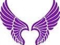 Spiritual & Energetic Healers & Guides Wingz of Wellness, LLC  in Broken Arrow OK